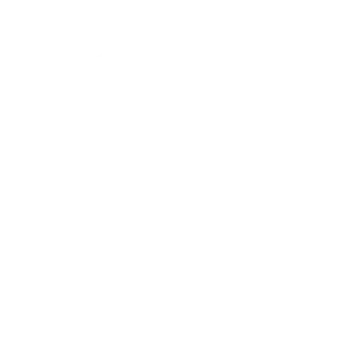 No icon